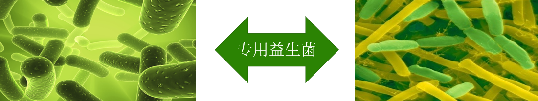 生物降解工艺流程图.png